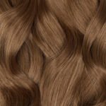 Chestnut Brown (6)
