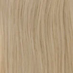 Highlight (Dirty Blonde 19C / White Blonde 60B)