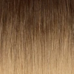 Ombre Dark Brown (2) to Ash Brown (9)