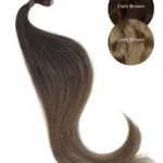 Ombre Dark Brown (#2) to Cool Brown (#10C)