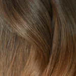 Ombre Espresso (#1C) to Chestnut Brown (#6C)